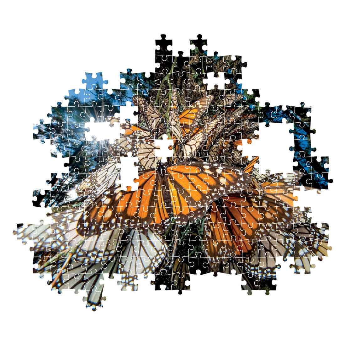 Clementoni Legpuzzel National Geographics - Vlinder 1000 stukjes