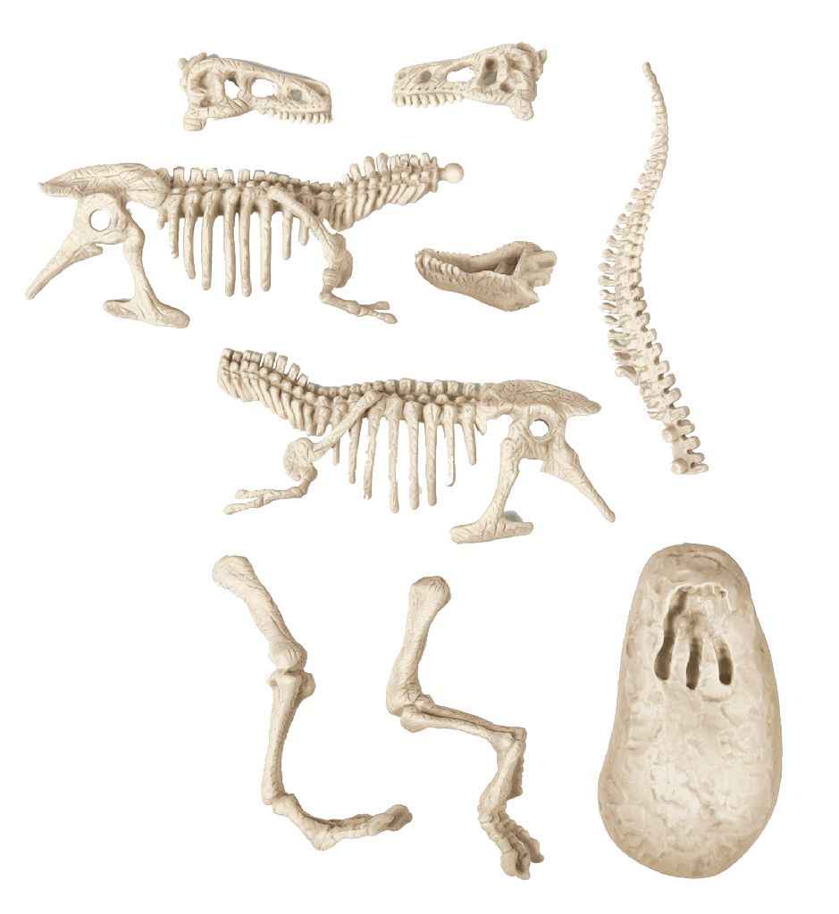 Clementoni Archeospel T-rex Fluor