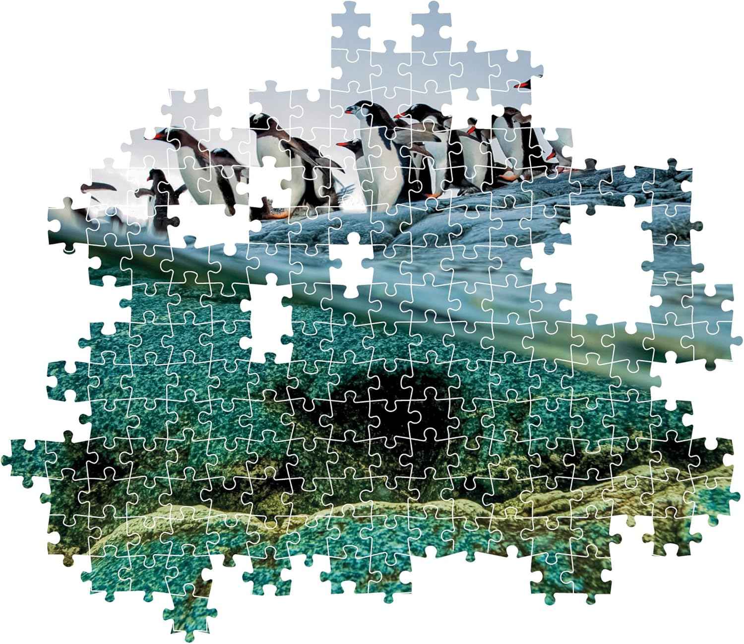 Clementoni Legpuzzel National Geographics - Pinguïn 1000 stukjes