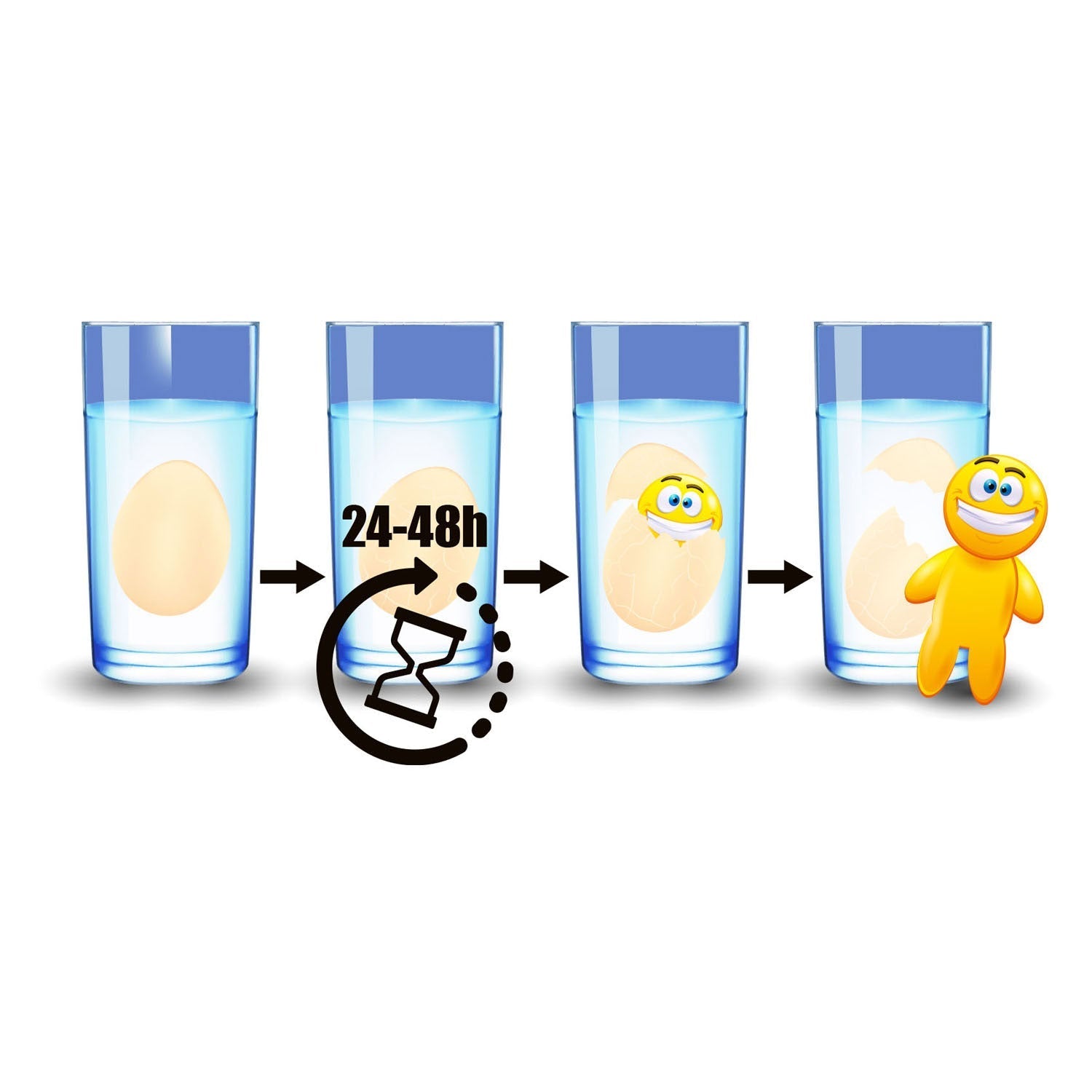 Groei-ei Lachgezicht uitleg