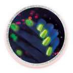 Clementoni Wetenschap & Spel - Nagellak Lab