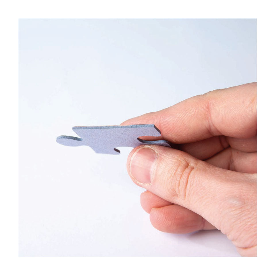 Clementoni Legpuzzel Bloemen bij Lake Tekapo, 1500st.