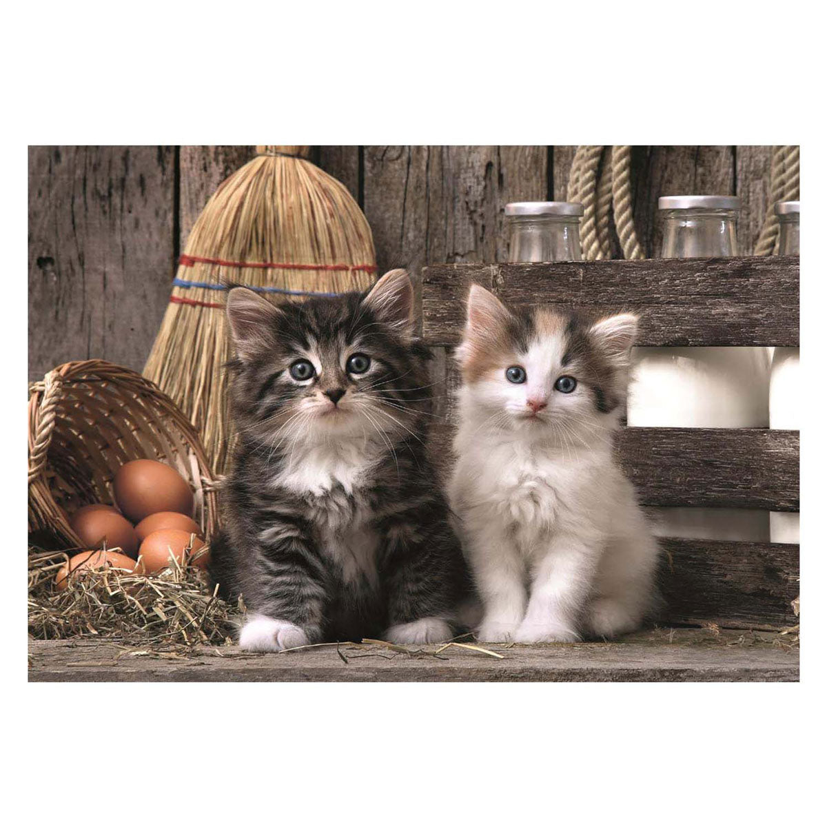Clementoni Puzzel - Schattige Kittens, 1000st.