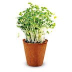 Kidscovery Experiment Kruidentuin Set S voorbeeld