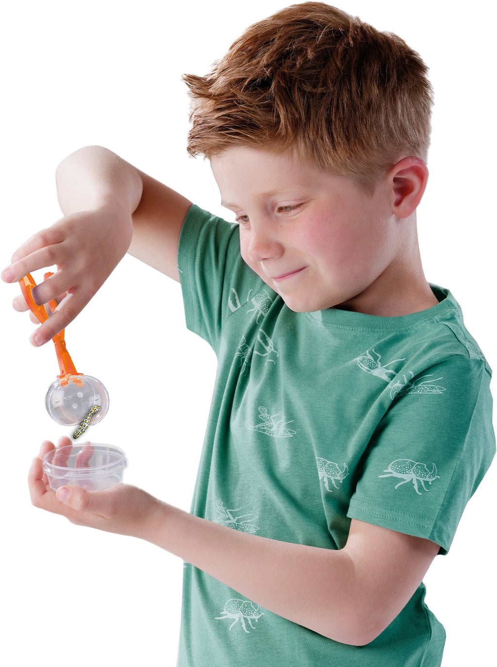 SES Creative Explore - Insecten explorer