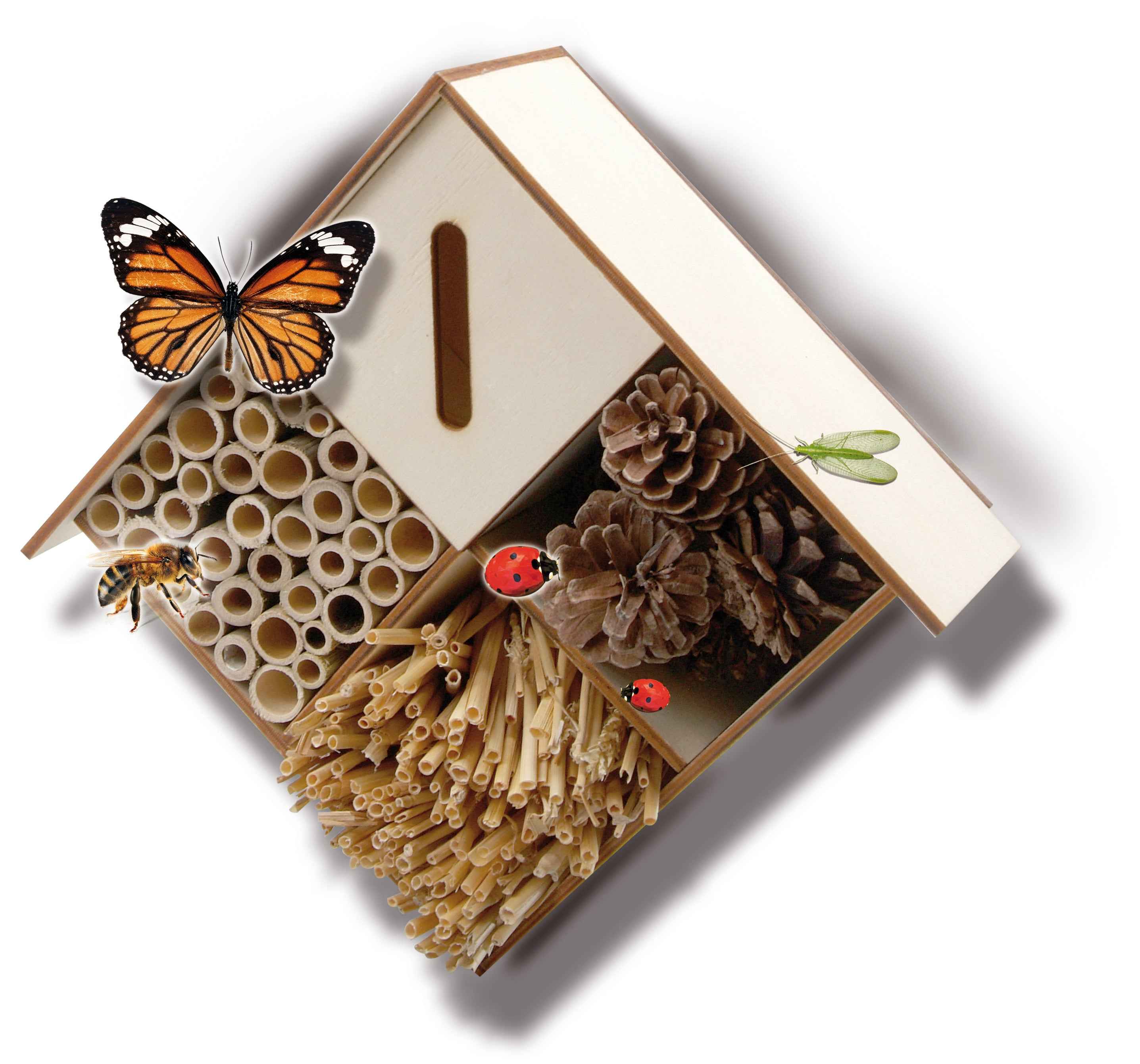 SES Explore Insectenhotel