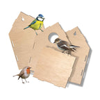 SES Explore Vogelhuis